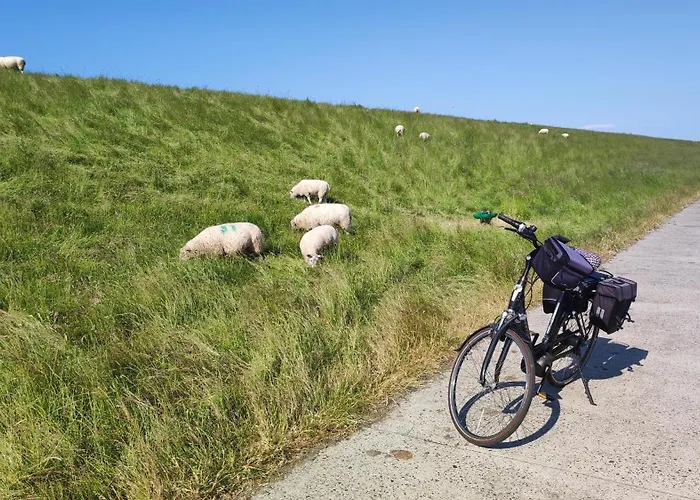 Haus Nr 19, Fischerhus * Schillig
